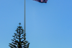 Neuseeland - 100