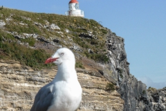 Neuseeland - 136