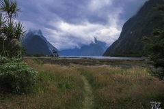 Neuseeland - 163