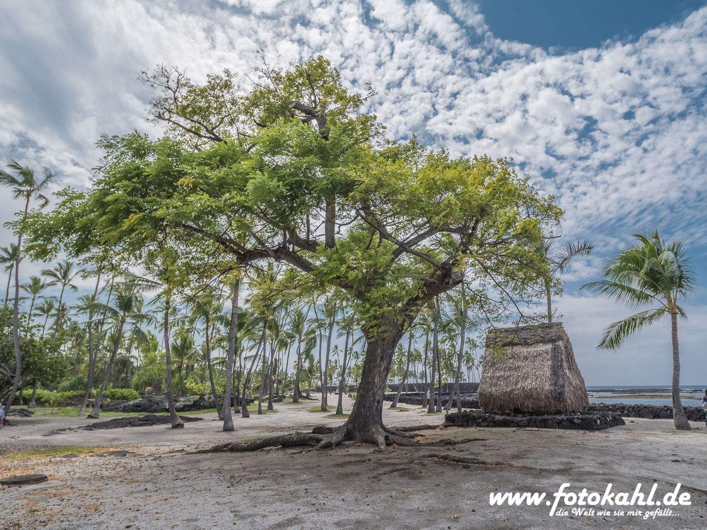 Hawaii-Big Island 2018