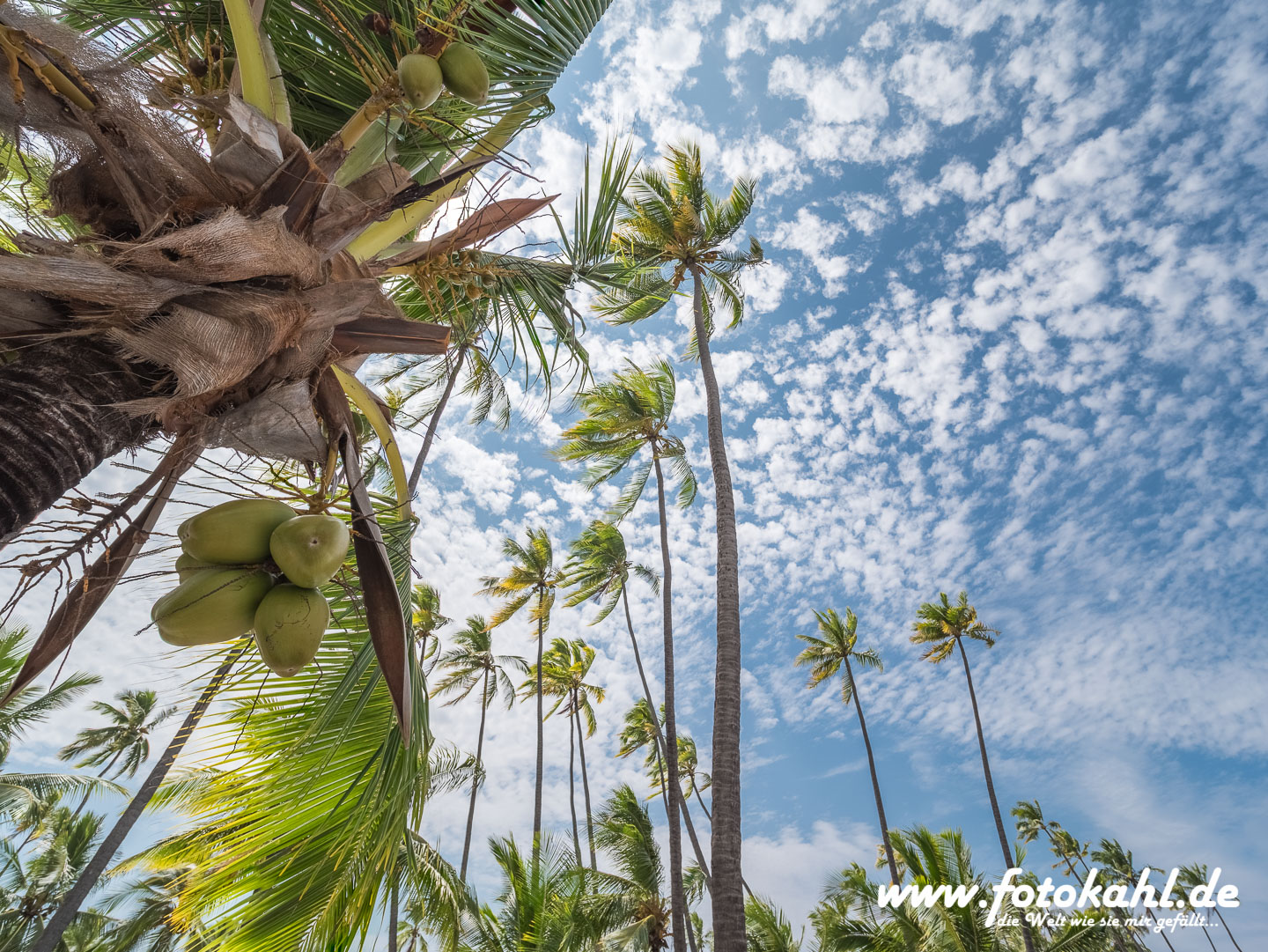 Hawaii-Big Island 2018