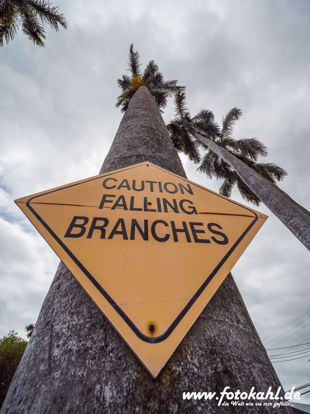 Hawaii-Big Island 2018