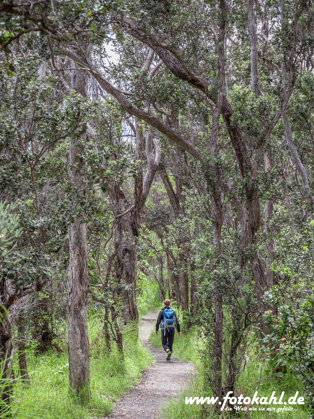 Hawaii-Big Island 2018_061