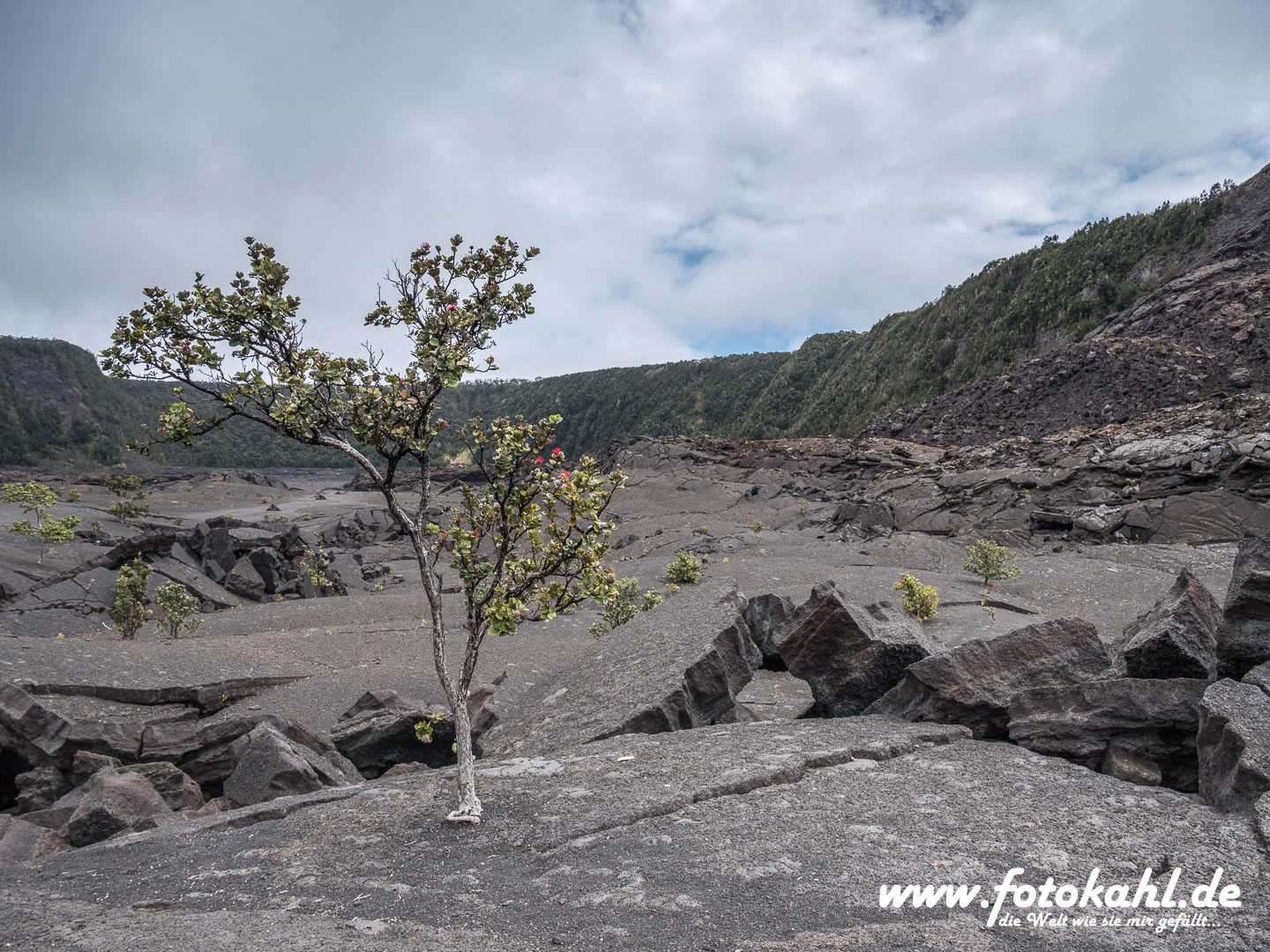Hawaii-Big Island 2018_063