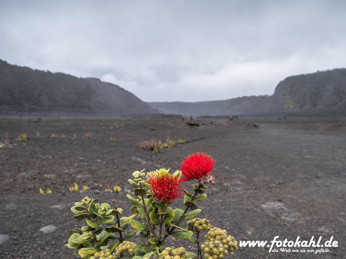 Hawaii-Big Island 2018_064