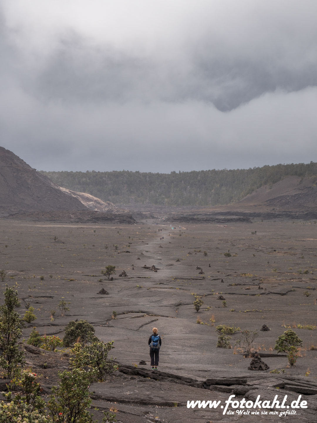 Hawaii-Big Island 2018_065