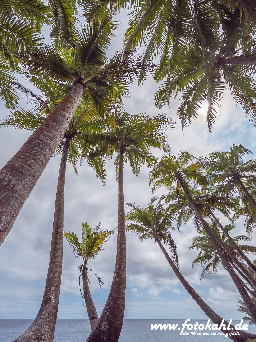 Hawaii-Big Island 2018_069