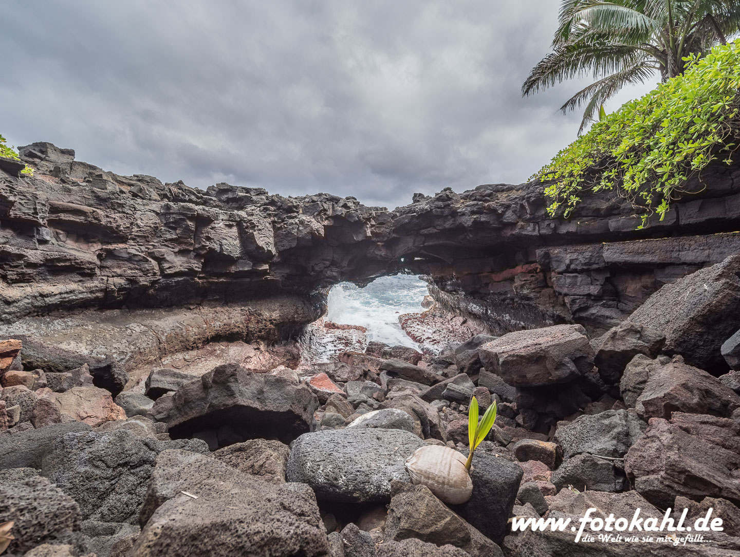 Hawaii-Big Island 2018_070