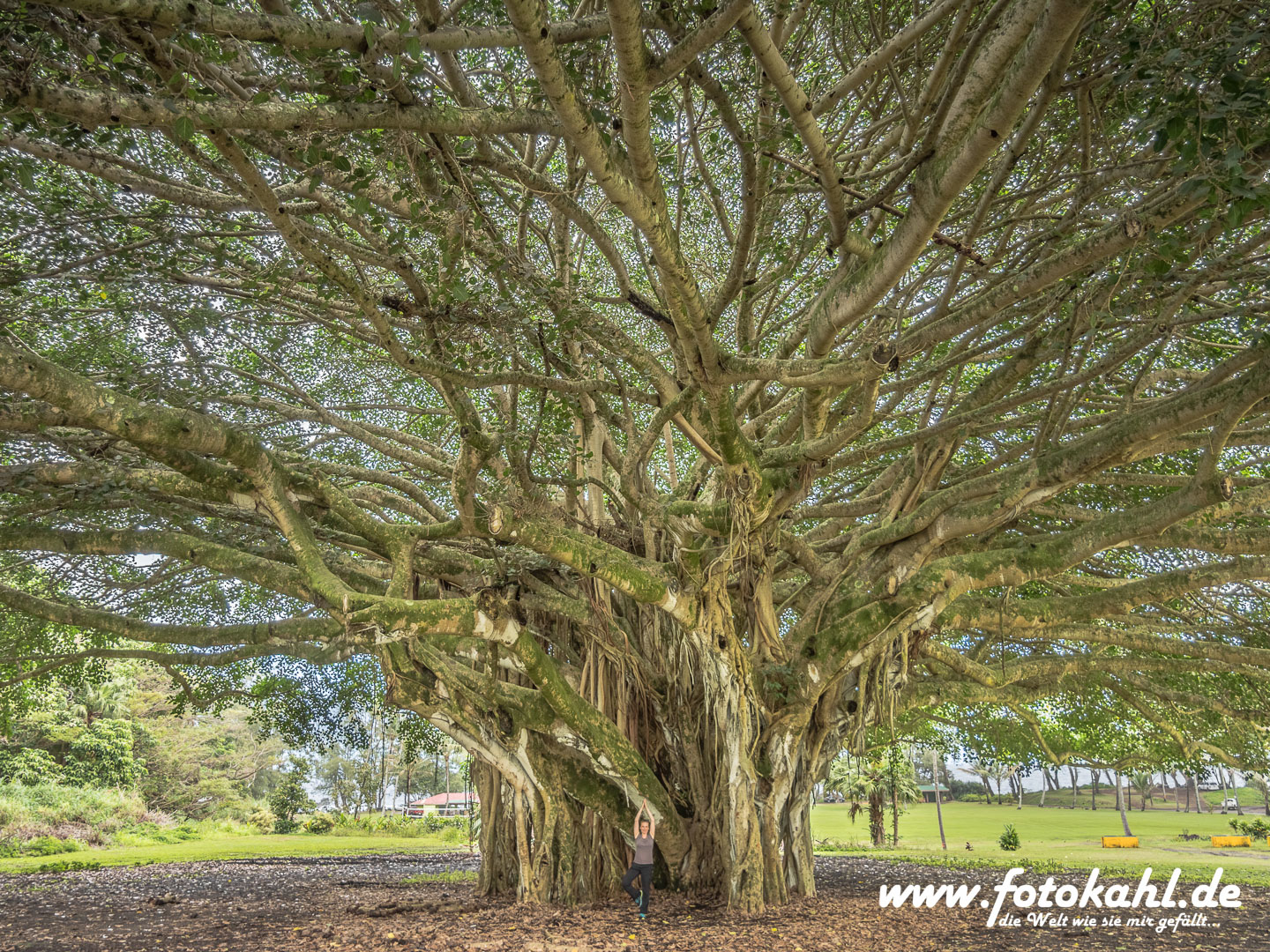 Hawaii-Big Island 2018_096