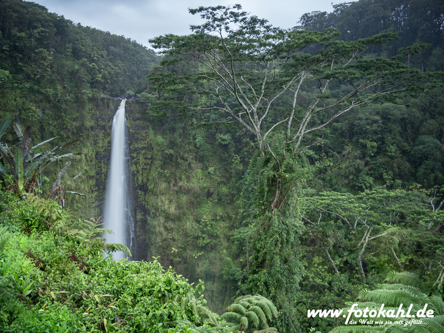 Hawaii-Big Island 2018_098