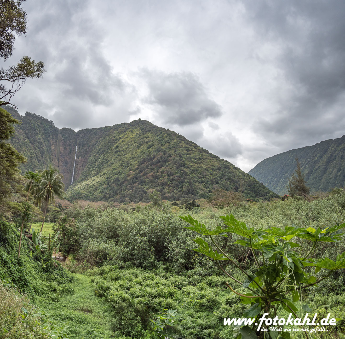 Hawaii-Big Island 2018_100