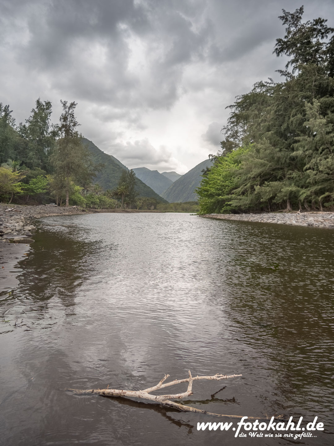 Hawaii-Big Island 2018_104
