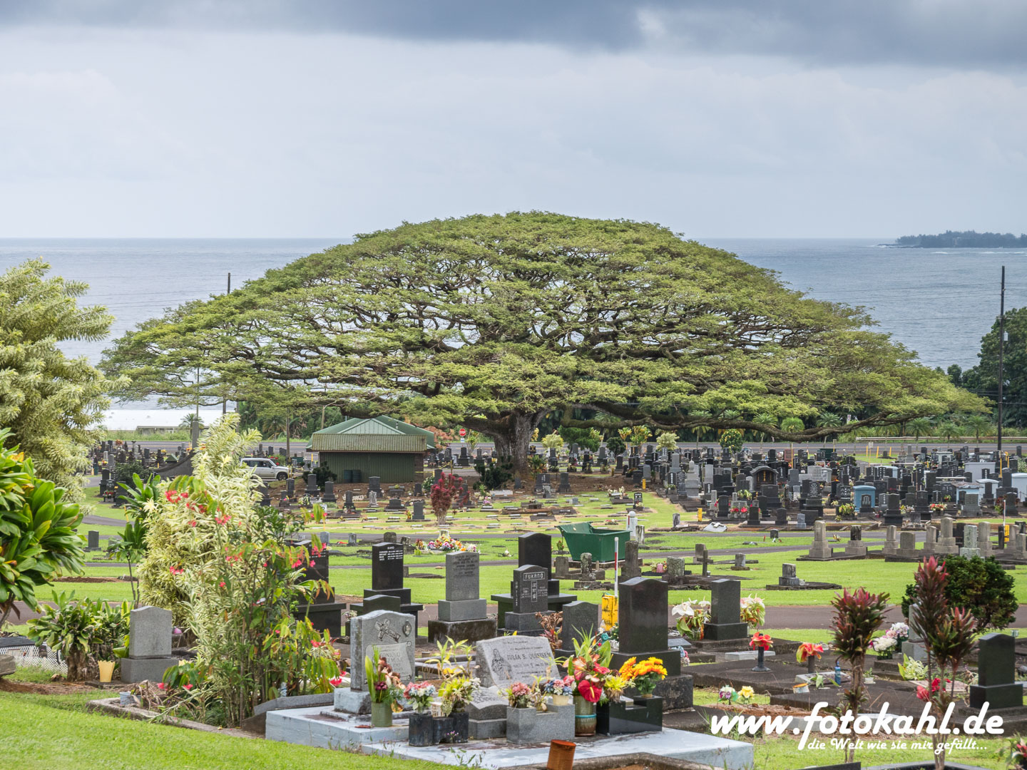 Hawaii-Big Island 2018_109