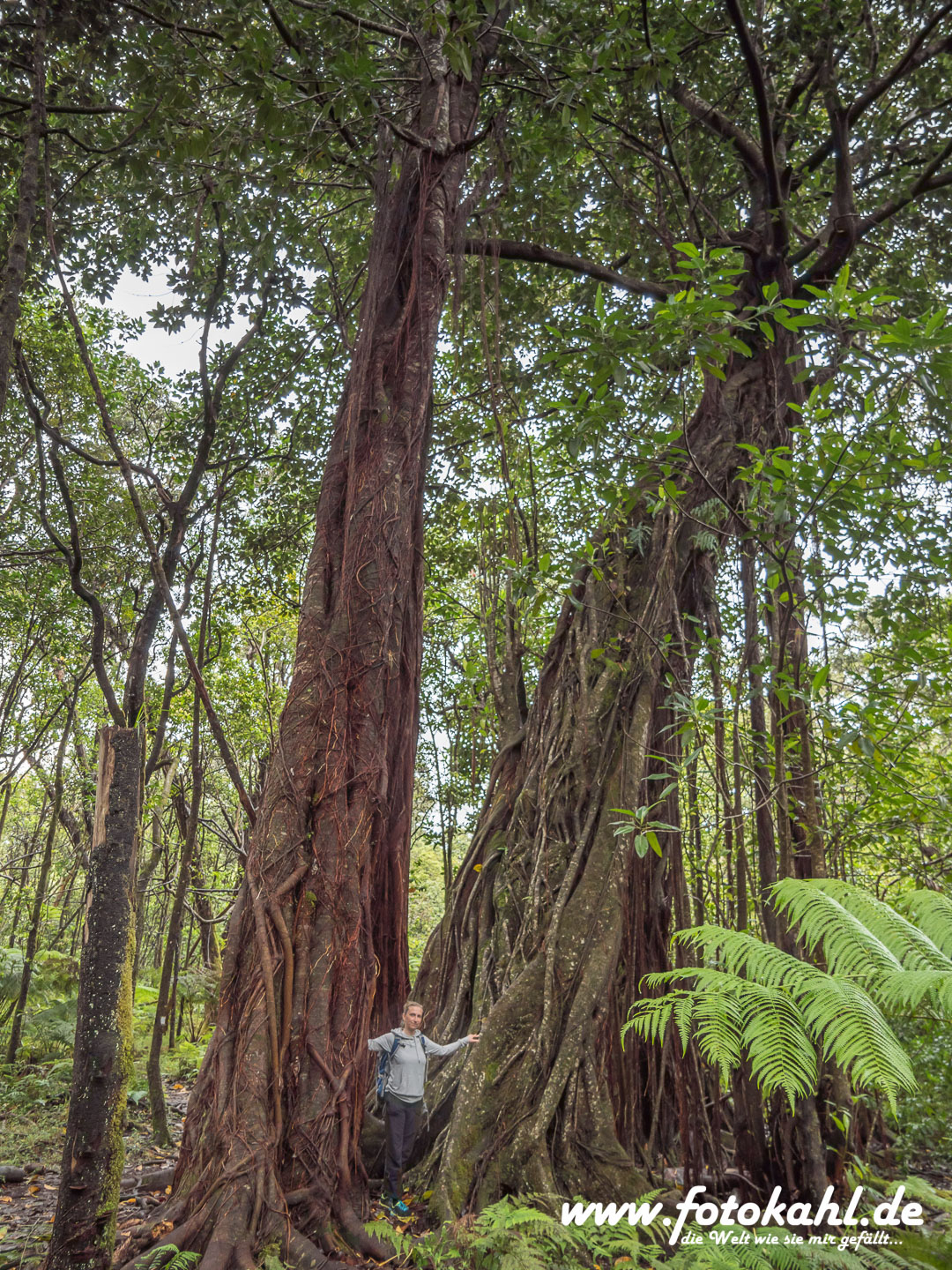 Hawaii-Big Island 2018_115