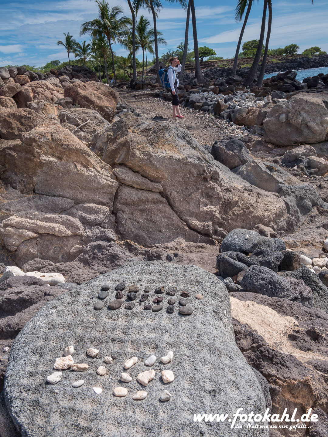 Hawaii-Big Island 2018_123