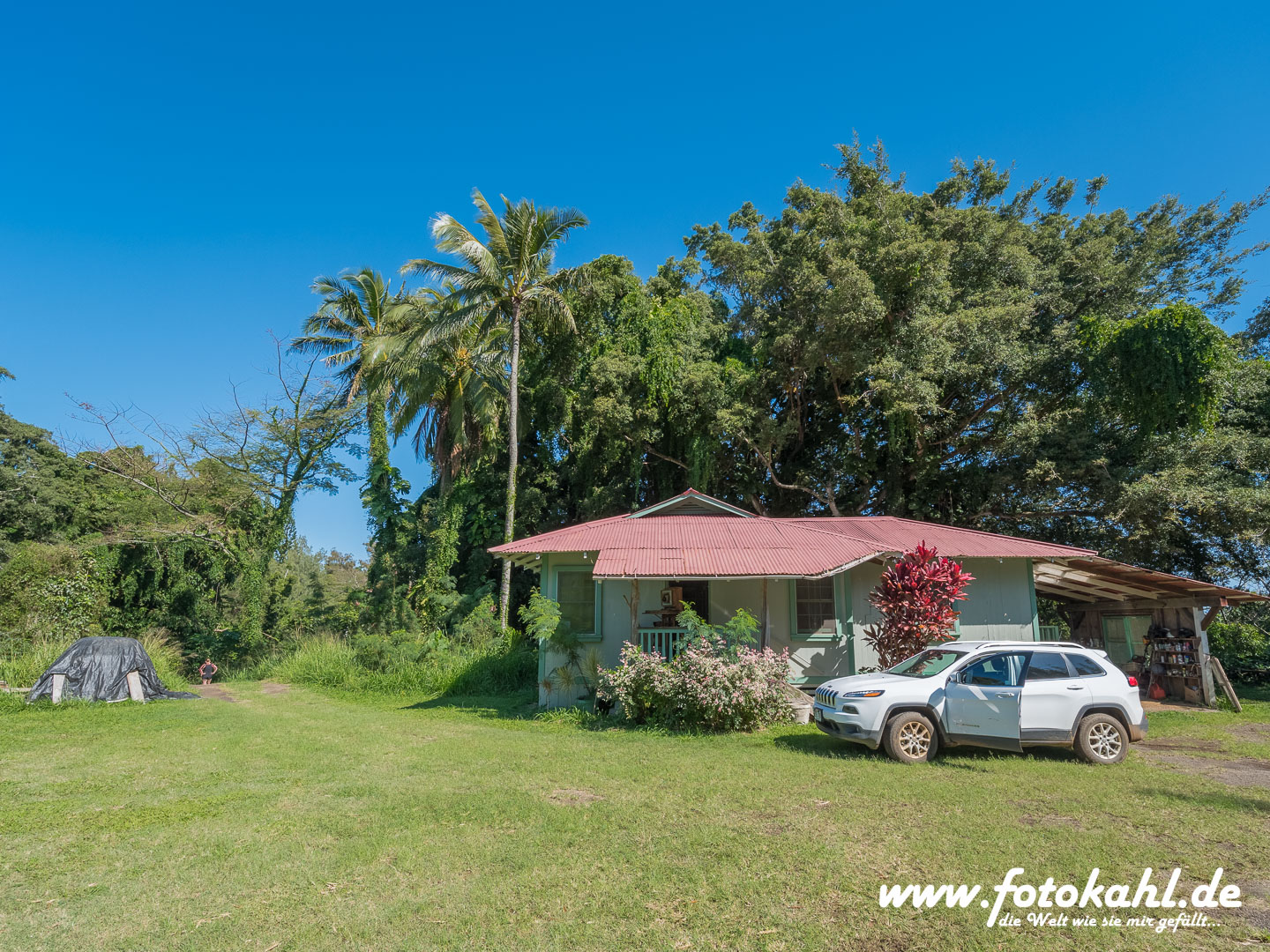 Hawaii-Big Island 2018_128