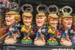 Hawaii-Big Island 2018