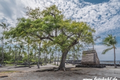 Hawaii-Big Island 2018