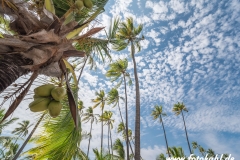 Hawaii-Big Island 2018