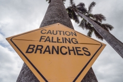 Hawaii-Big Island 2018