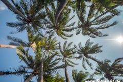 Hawaii-Big Island 2018