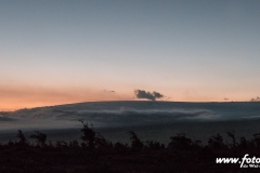 Hawaii-Big Island 2018_052