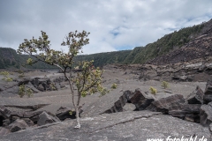 Hawaii-Big Island 2018_063