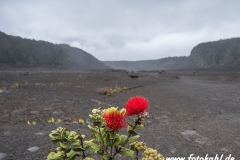 Hawaii-Big Island 2018_064