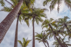 Hawaii-Big Island 2018_069