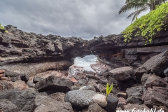 Hawaii-Big Island 2018_070