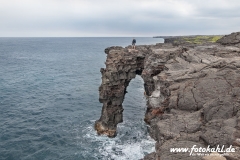 Hawaii-Big Island 2018_091