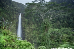 Hawaii-Big Island 2018_098