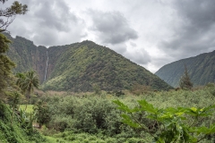 Hawaii-Big Island 2018_100