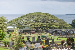 Hawaii-Big Island 2018_109