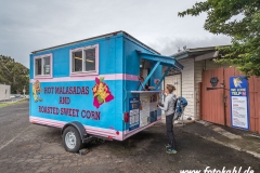 Hawaii-Big Island 2018_117