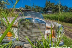 Hawaii-Big Island 2018_129