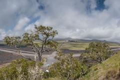 Hawaii-Big Island 2018_130