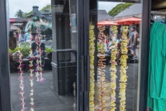 Hawaii-Big Island 2018_140