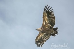 WEB-250519-DC-G9M20010-264-Verbessert-RR5