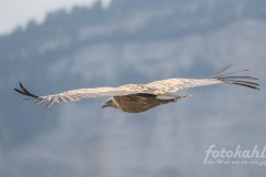 WEB-250519-DC-G9M20010-327-Verbessert-RR6