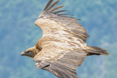 WEB-250519-DC-G9M20010-352-Verbessert-RR8