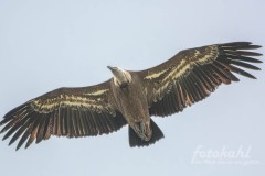 WEB-250519-DC-G9M20010-425-Verbessert-RR9