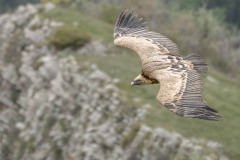 WEB-250519-DC-G9M20010-490-Verbessert-RR10