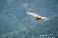 WEB-250519-DC-G9M20010-513-Verbessert-RR12