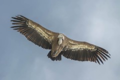 WEB-250519-DC-G9M20010-584-Verbessert-RR13