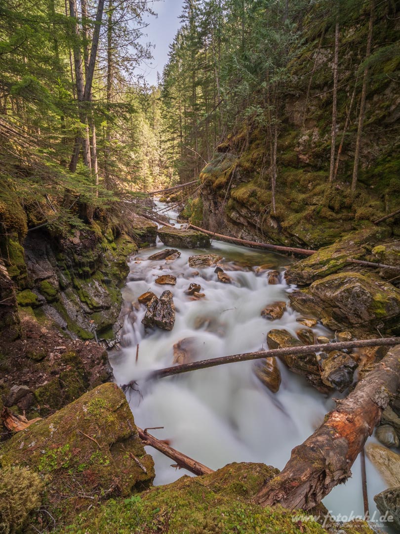 Kanada_-_190505-027
