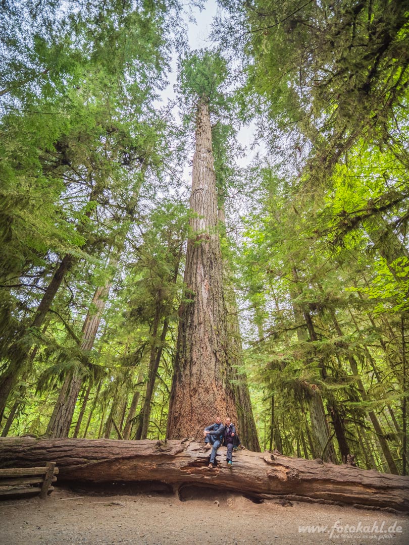 Kanada_-_190513-058