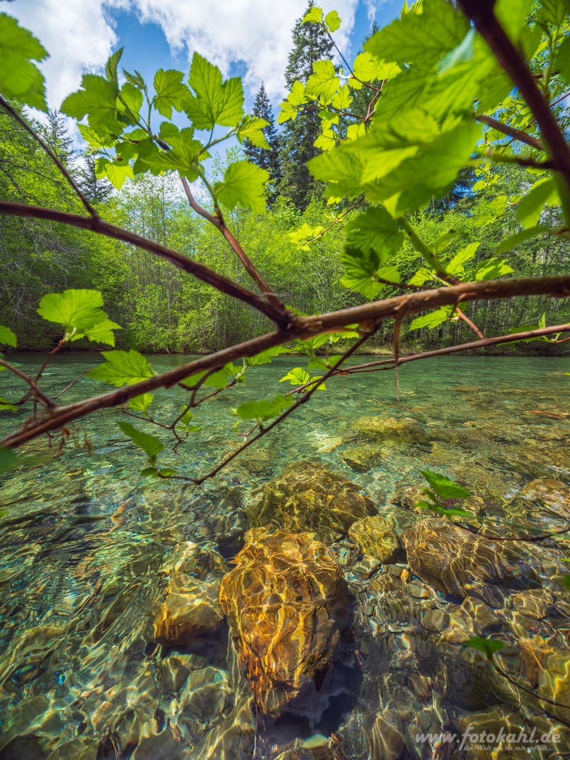 Kanada_-_190515-060