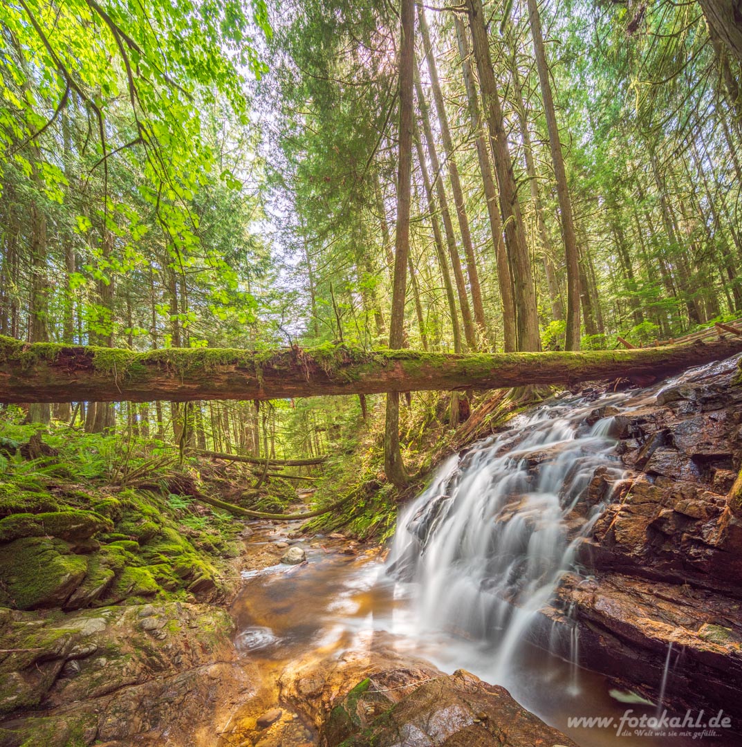 Kanada_-_190519-070