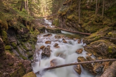 Kanada_-_190505-027